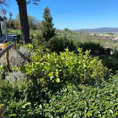 Θέρετρο Tenuta Lisetta Monterotondo (Lazio)