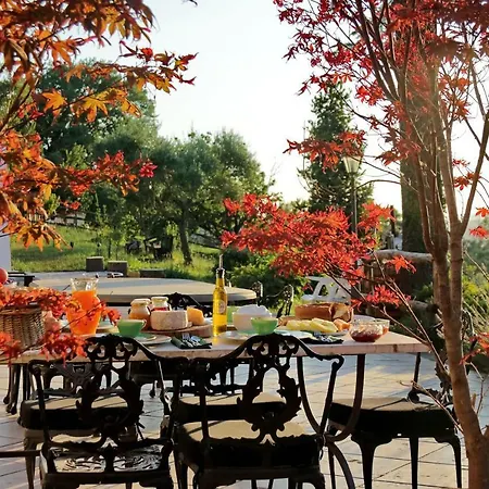 Tenuta Lisetta Monterotondo (Lazio)