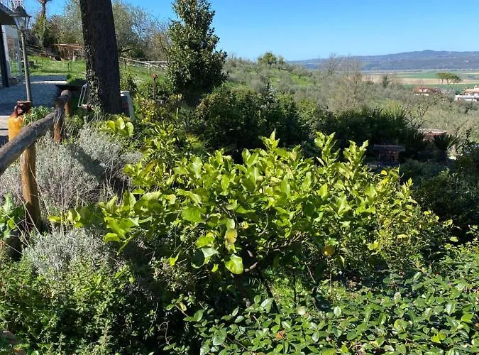 منتجع Tenuta Lisetta مونتيروتوندو